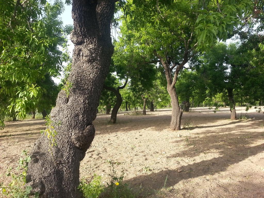 诺托露米娅旅馆别墅 外观 照片