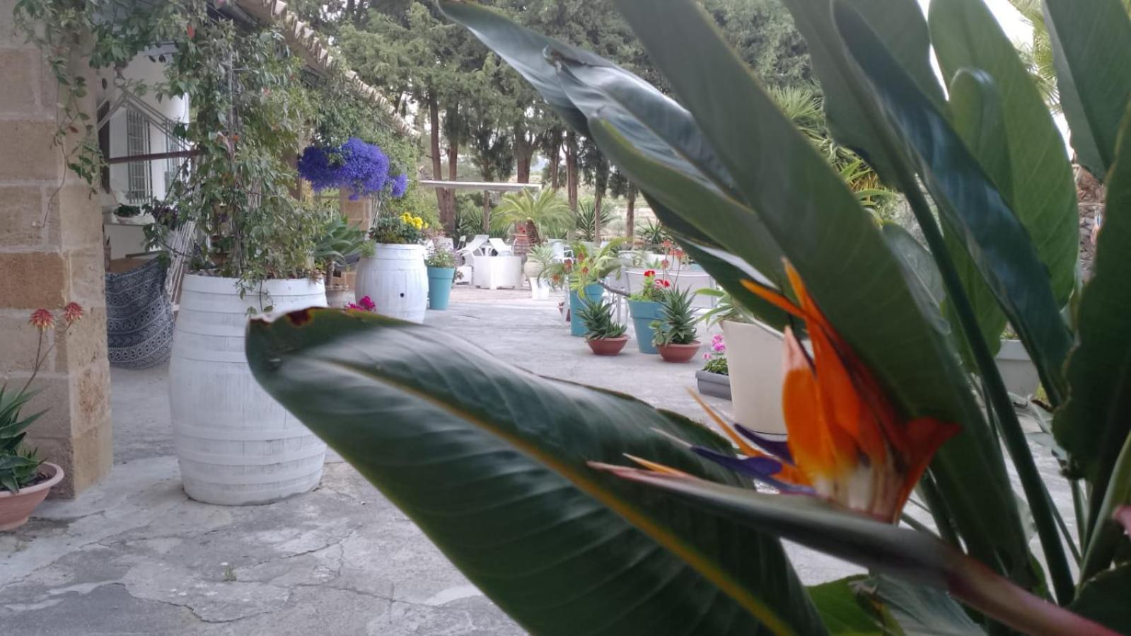 诺托露米娅旅馆别墅 外观 照片